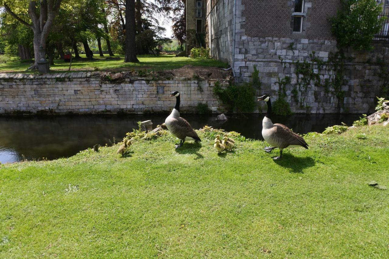 B & B Kasteelhoeve Borgharen - Maastricht Ngoại thất bức ảnh